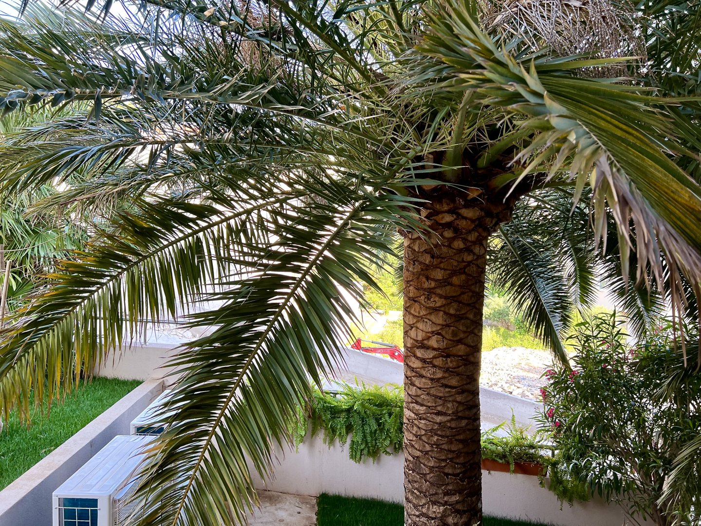 Villa Romana - 19