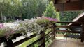 Villa Romana - 50